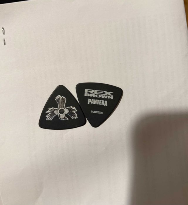 Kosta gitarowa Pantera