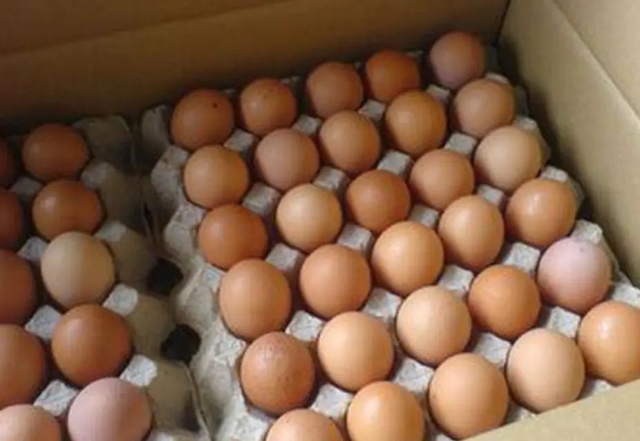 Яйця курячі 0, 1, 2