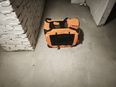 Transporter dla psa/kota