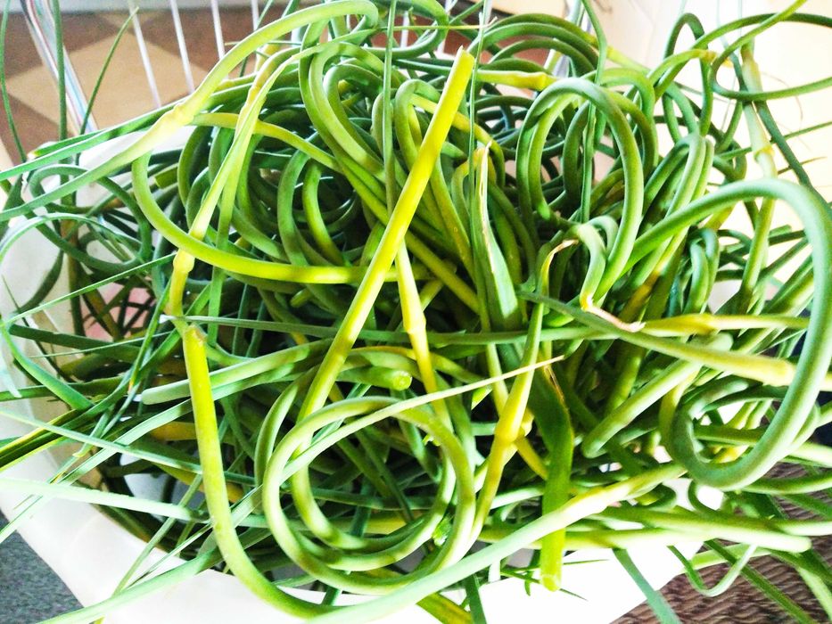 Kiszone pedy czosnku   eko   4 szt