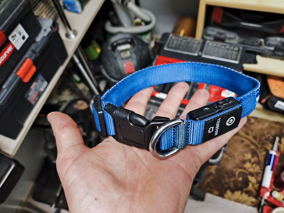 Ошийник для собаки з підсвіткою