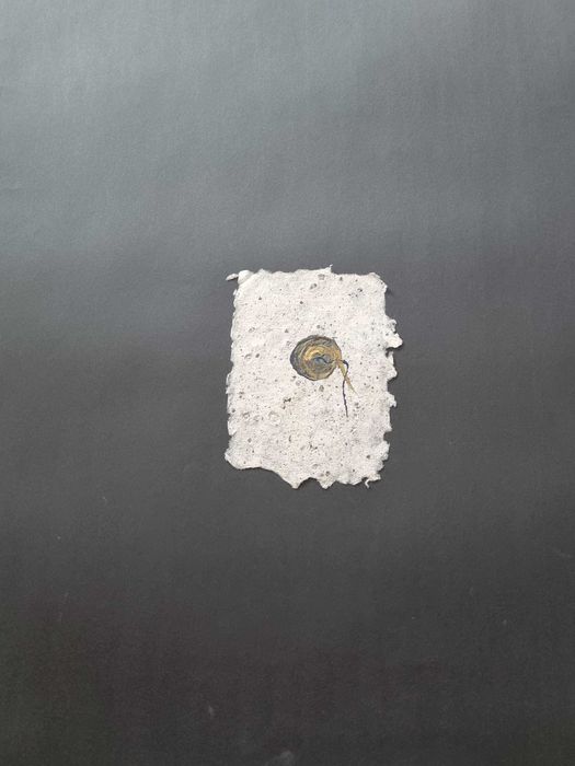 Grafika  " Nowe Życie "