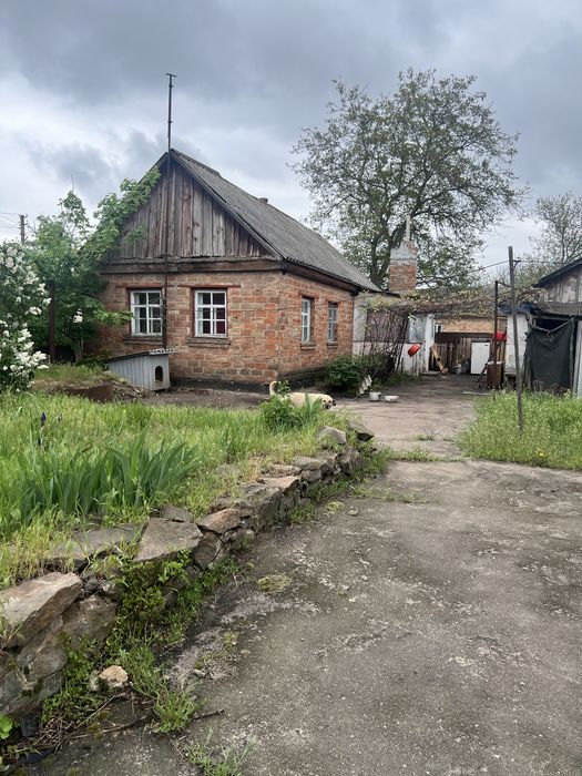Сдам дом г.Александрия