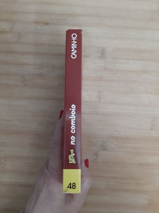 Livro " Uma aventura no comboio " Ana M Magalhães e Isabel Alçada