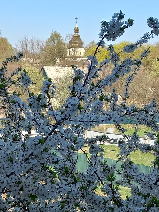 продаж 1-кімнатної квартири з індивідуальним опаленням