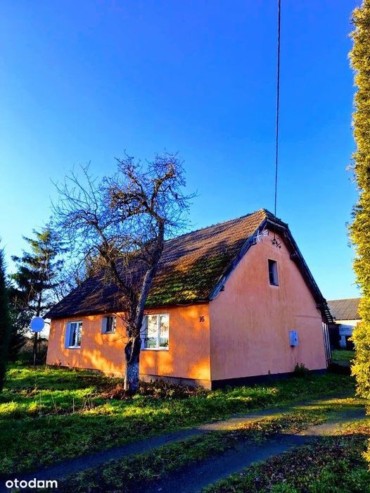 Siedlisko na sprzedaż | Wytok koło Płotów |