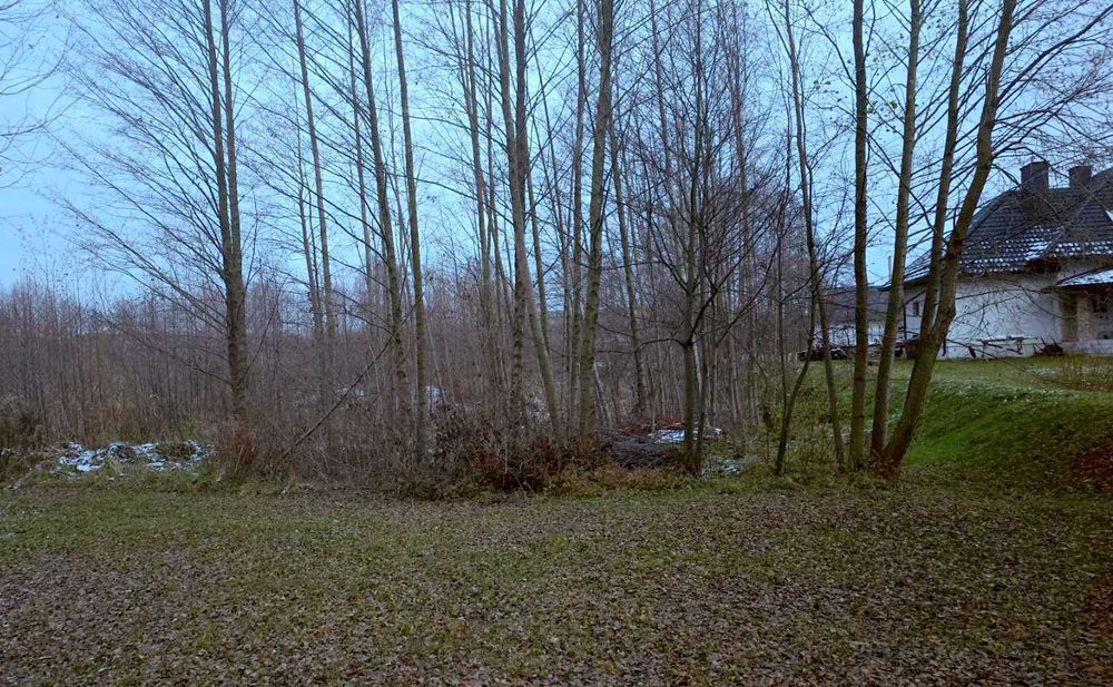 Земельна ділянка