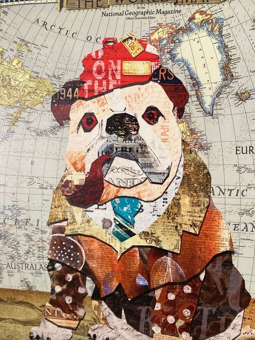 Quando tela Buldogue