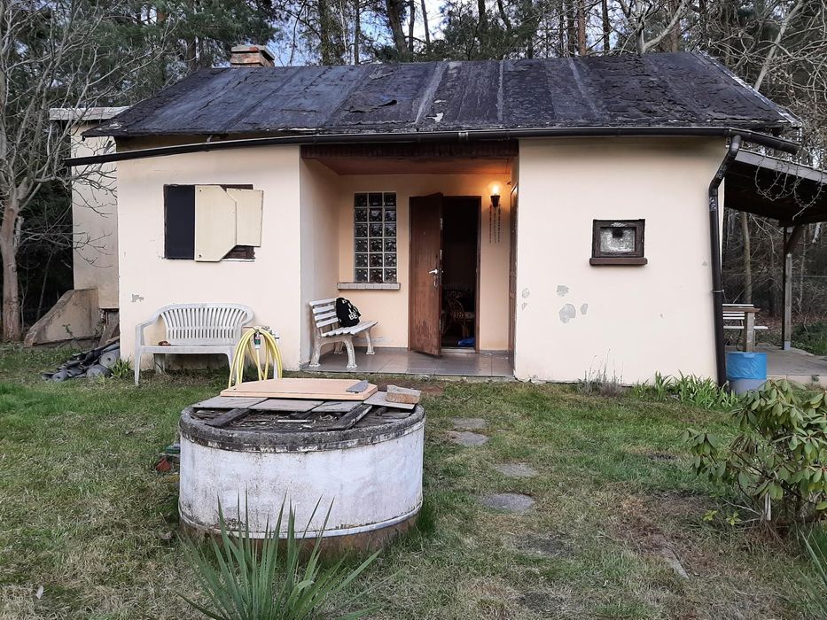 Ogródek działkowy ROD, duża działka, ogród, las, przy lesie