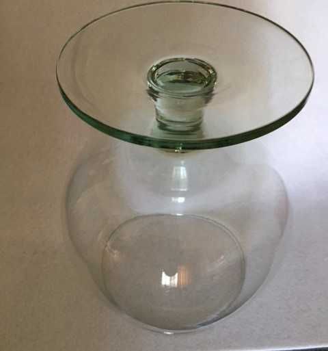Goblet-shaped Pitcher442547109312614403