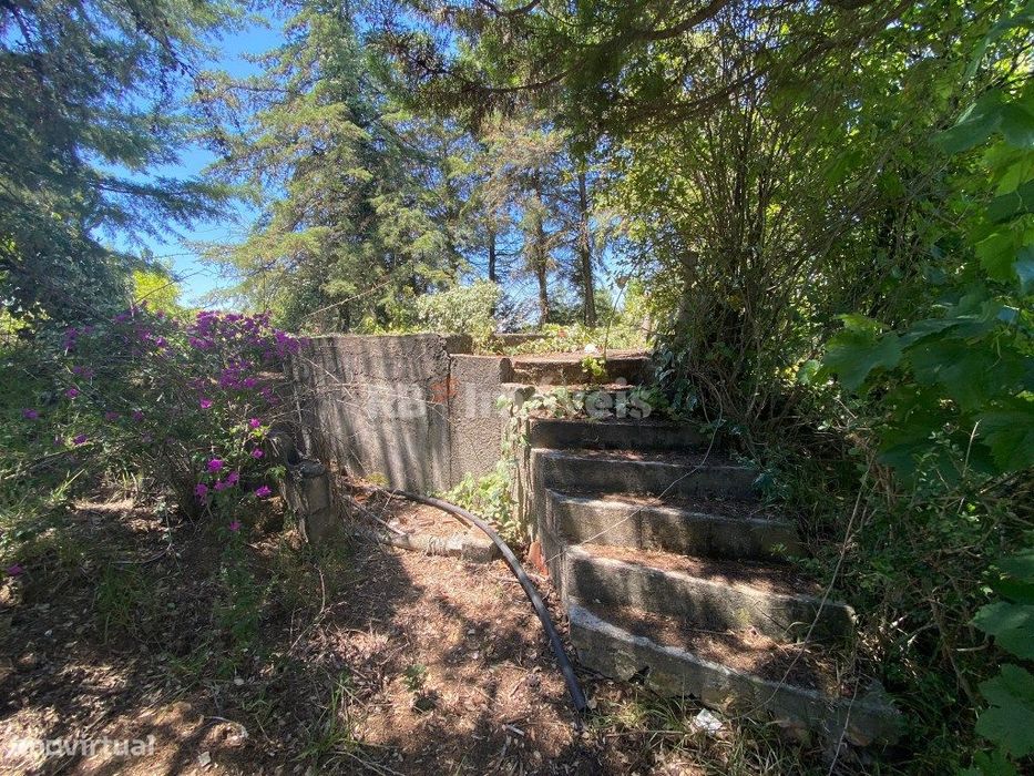 5 Terrenos Conjuntos - Boca da Mata, Tomar