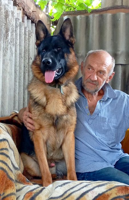 Роскошные малыши с документами.