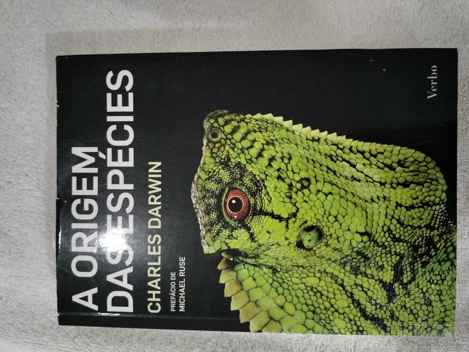 Livros de adulto/jovem adulto