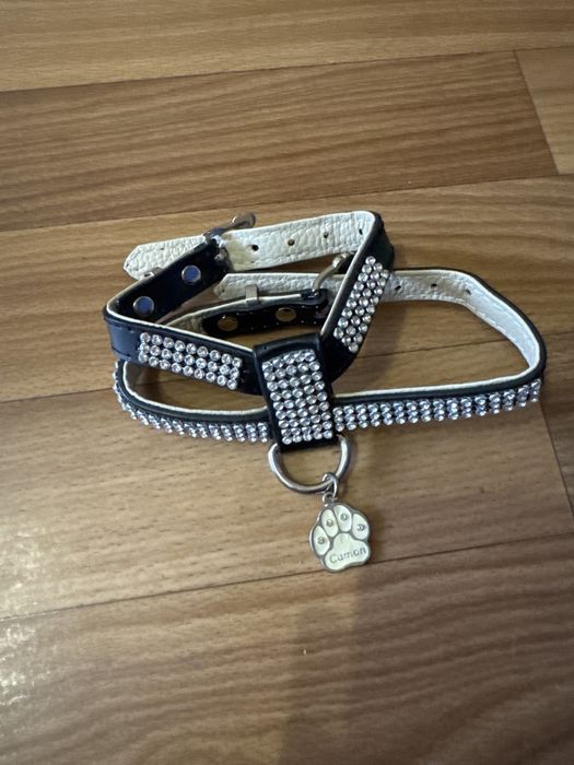 Одяг  на собак  шлеі.