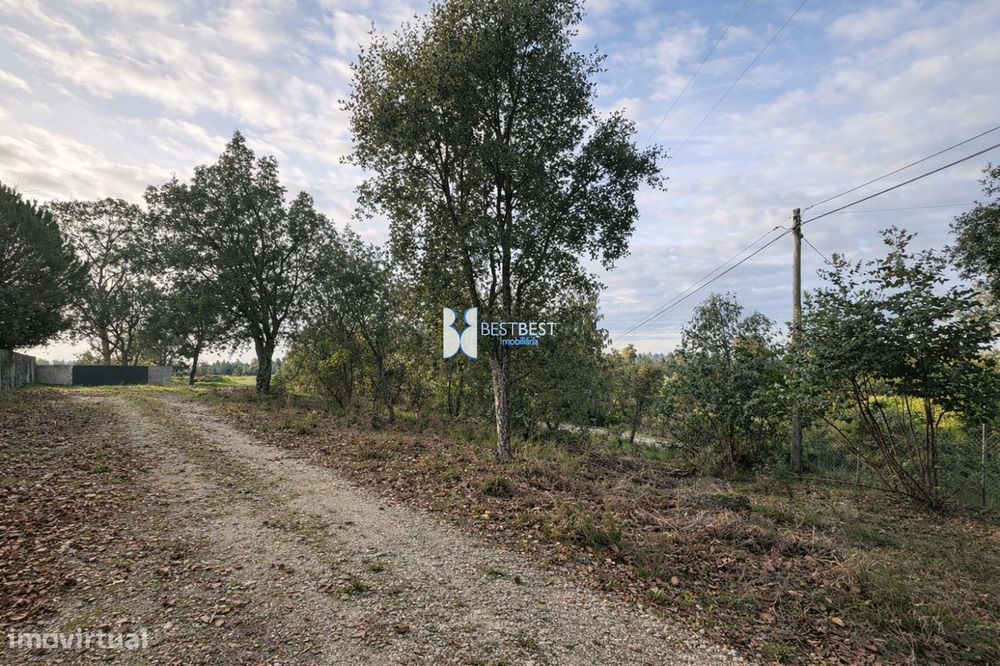 Terreno Com 10.031  M2 Em Burgaes, Santo Tirso