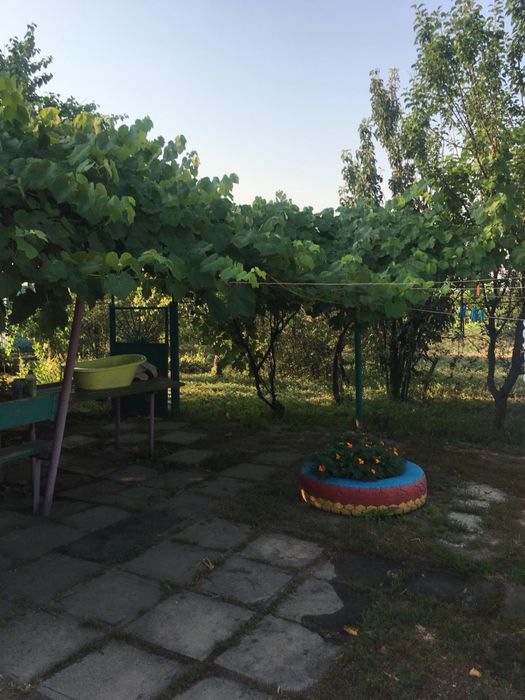 Дом в с.Гетмановка Шевченковский район