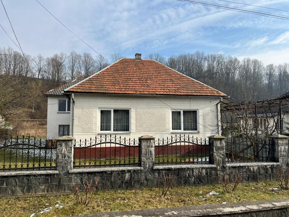 Продам будинок з ділянкою 38 соток