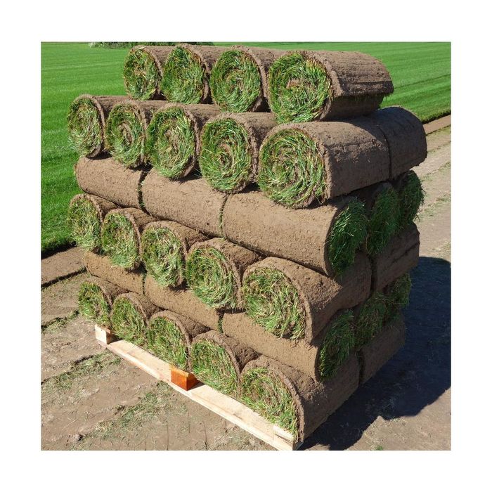 Trawa z rolki producent Rzeszow, Tarnow, Debica