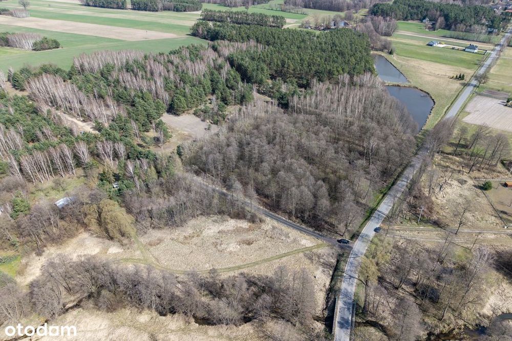 Działki rekreacyjne i mieszkaniowe blisko Łodzi - Widok 2