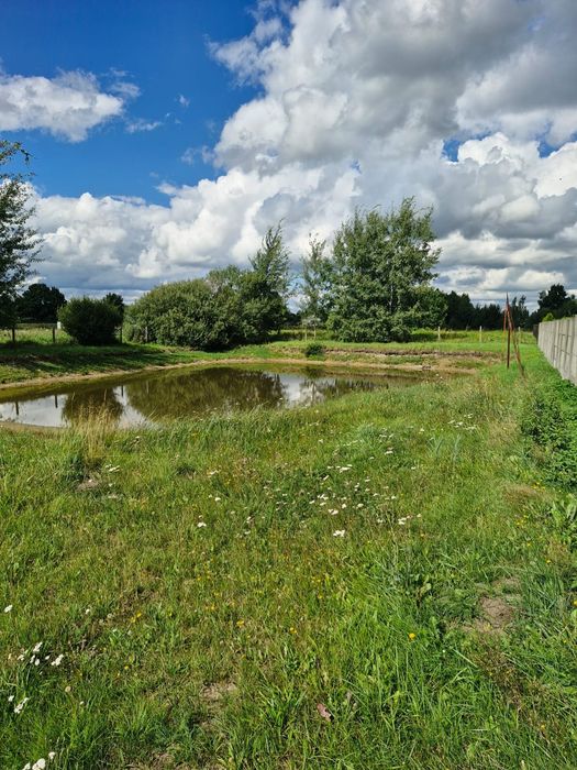 Działka 3475 m² ze stawem Waleriany - Widok 2