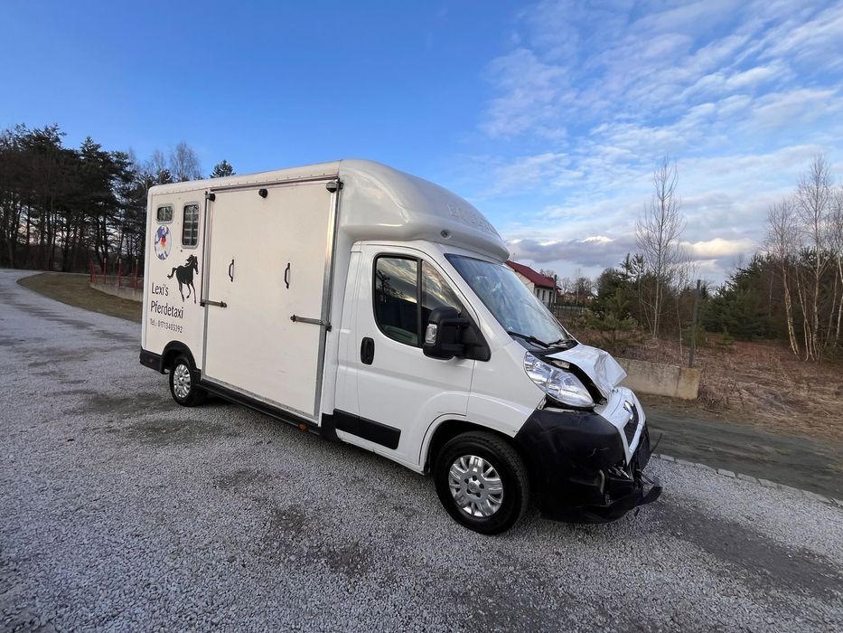 Peugeot BOXER EQUI-TREK  3.0 Koniowóz Klimatyzacja HAK  Okazja!!!