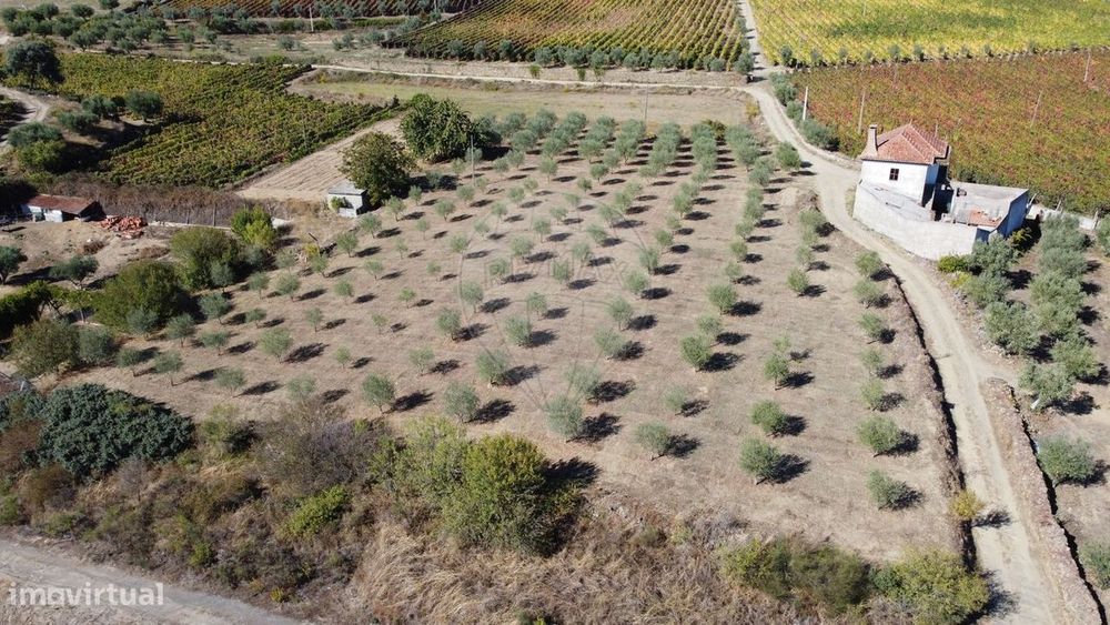 Terreno  para venda