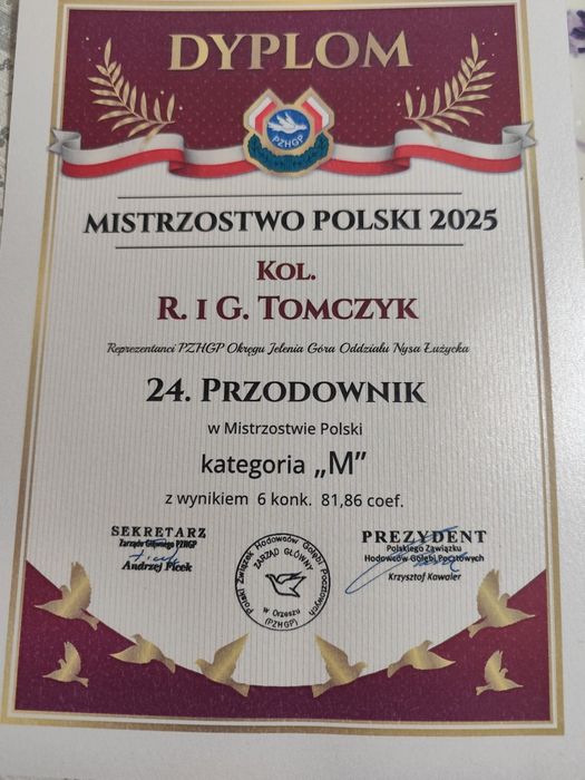 Sprzedam gołębie na daleki dystans