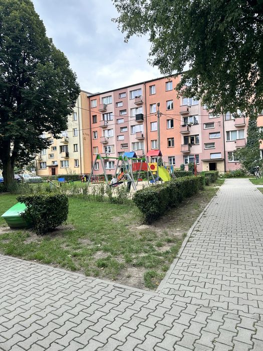 Zdjęcie 4