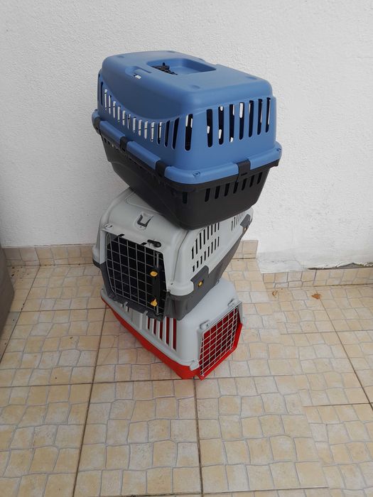 Transportadoras de gato