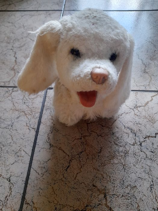 Bonecos interativos64873990799747123