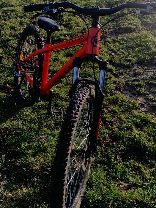 Rower Kellys whip 10