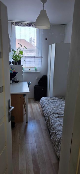 Mam do wynajęcia Pokój dla 1 osoby cichy, czysty ITS CLEAN – bez prowizji - Visning 2
