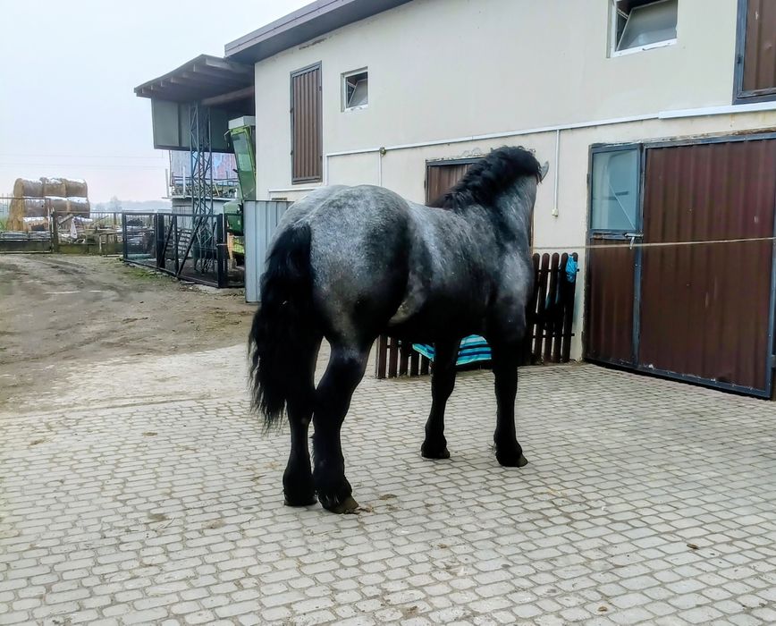 Uran  25 mięs. 167.230.29 .