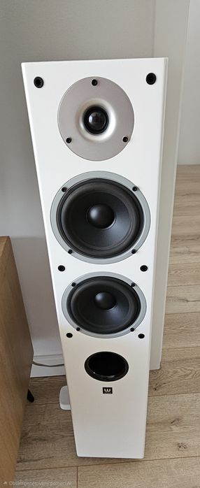 Denon Ceol N 10 + kolumny Wilson Raptor 5