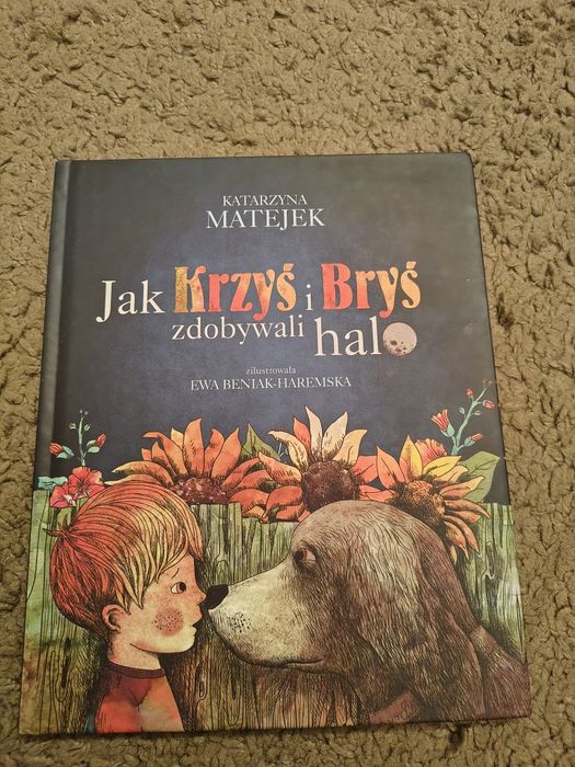 Jak Krzyś i Bryś zdobywali halo. Ksiazka