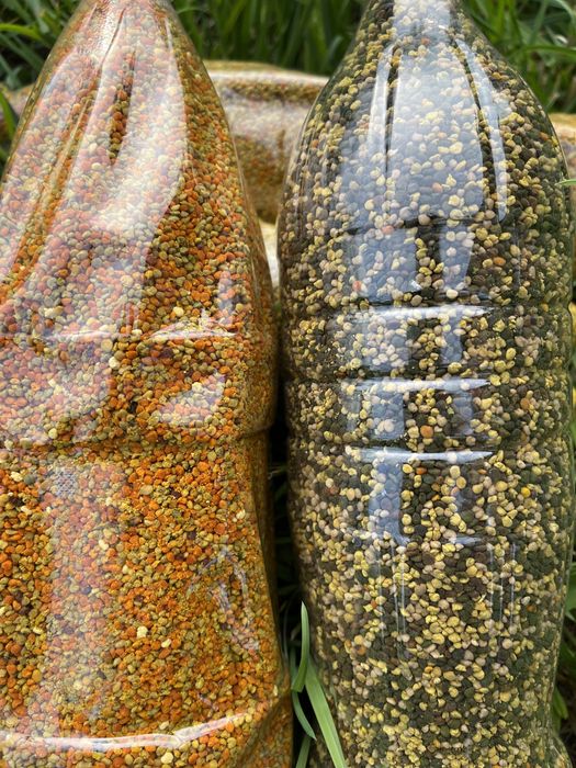 Якісний світлий бджолиний пилок 2025 року з власної пасіки, пыльца