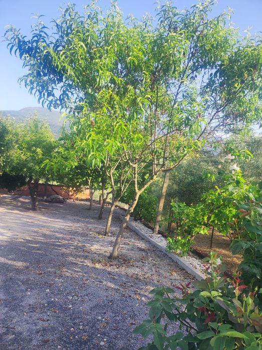 Faço permuta de espaço rústico com casa remodelada