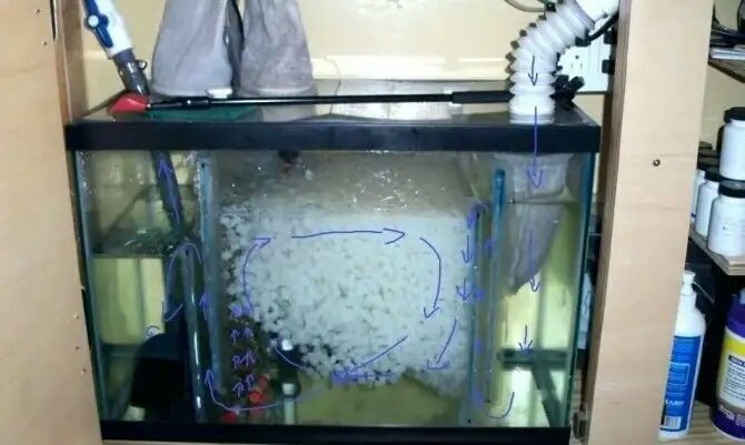 Фильтр для аквариума. САМП. Внешний фильтр.