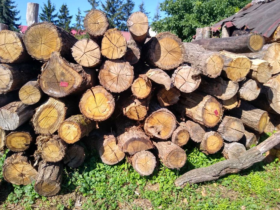 Drewno kominkowe i opałowe.