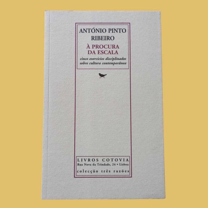 À Procura da Escala - António Pinto Ribeiro