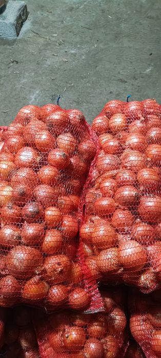 Продам качественный лук,в объёме