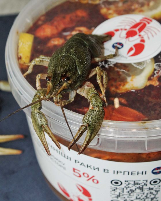 Раки живі. Раки варені. Ірпінь/Буча/Гостомель