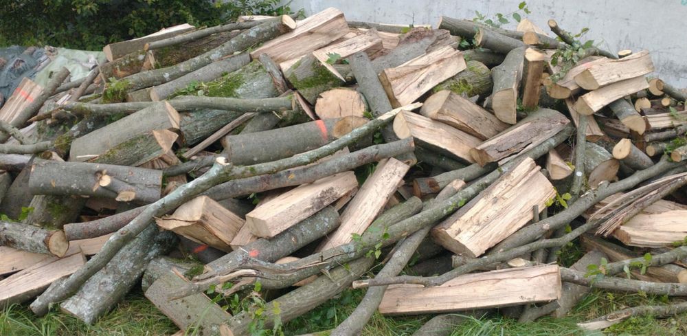 Drewno bok sosna brzoza