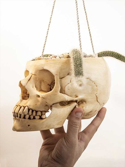 Vaso em formato de Crânio Humano Tamanho Real - Vaso para Decoração Gótica - Halloween
