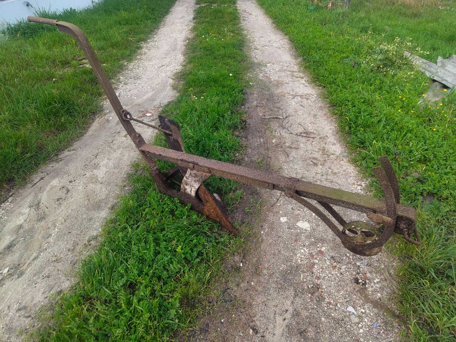 Charrua antiga das vacas