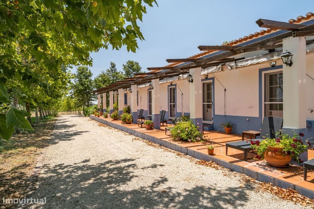 Quinta | Venda | ALENTEJO