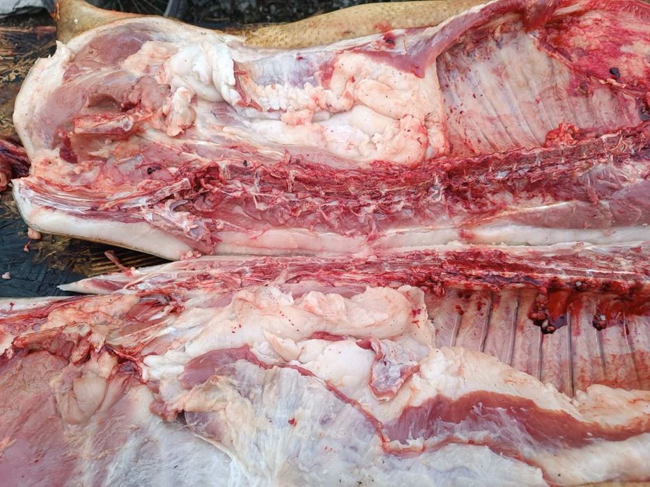 Мясо свинина