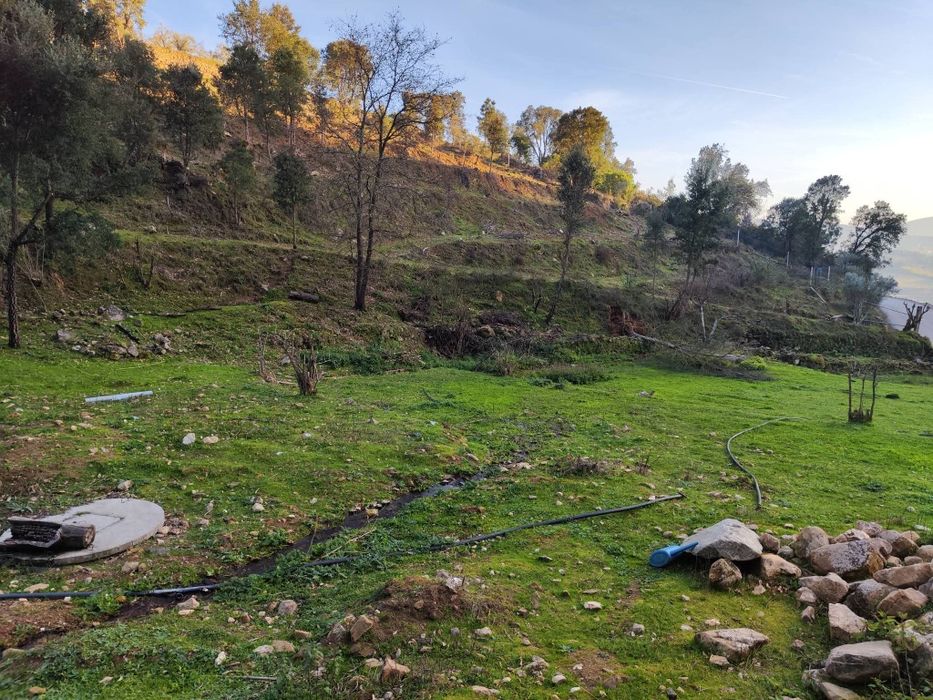 Quinta 3 Hectares Murganheira ( Tarouca )