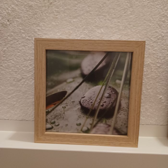 Molduras decorativas com estampas