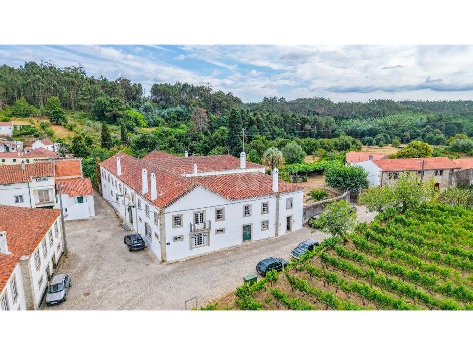 Historic 9-Bedroom Estate with 19 Hectares for Sale in Espariz, Tábua